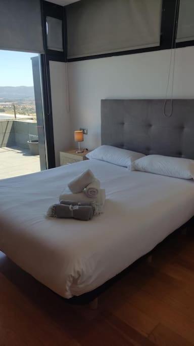 Duplex Con Vistas Increibles En Apartment *